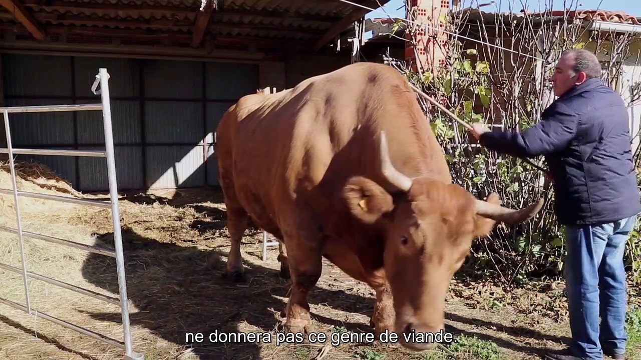 Steak (R)évolution Bande-annonce VF