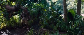 Jumanji : Bienvenue dans la jungle Bande-annonce (2) VF