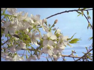 Un jour sur Terre Bande-annonce (2) VF