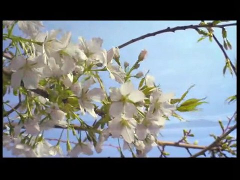 Un jour sur Terre Bande-annonce (2) VF