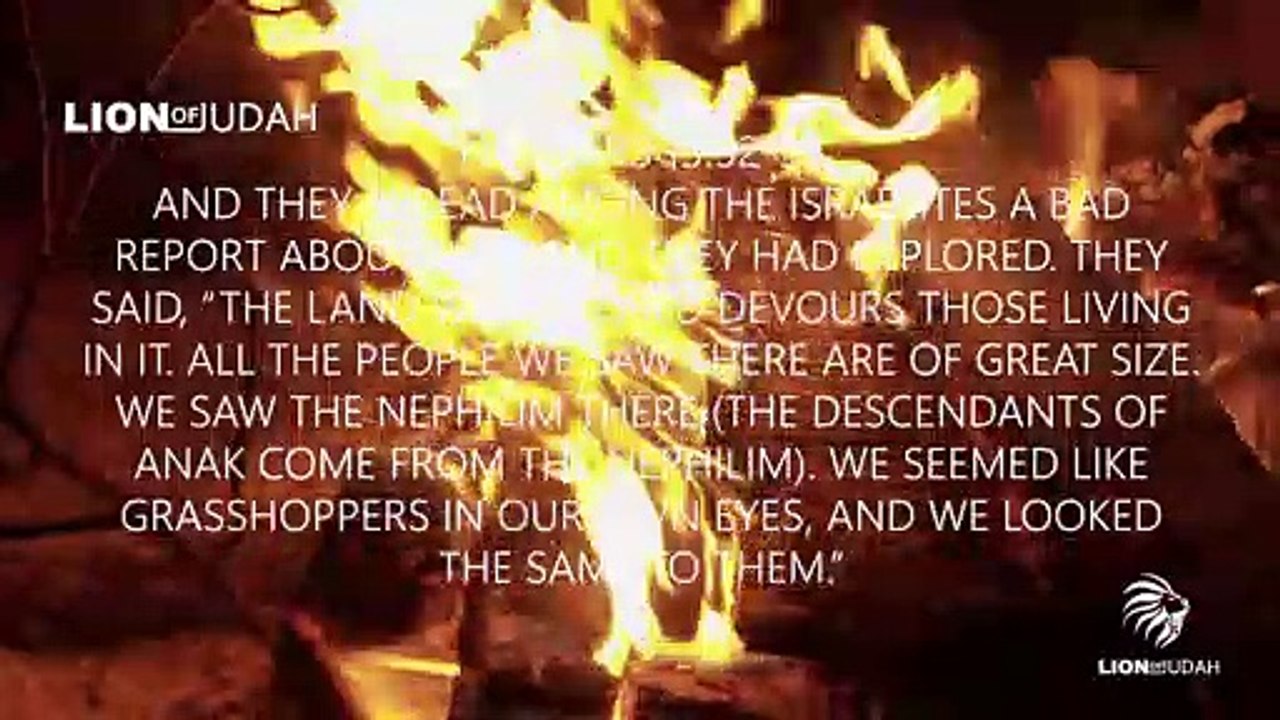 yt1s.com - Strange Sightings Of Nephilim Giants All Across The World The Truth