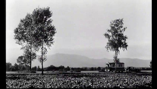 Extrait vidéo 2 - Français