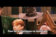 Connaissez-vous la théorie du Choixpeau d'Harry Potter?