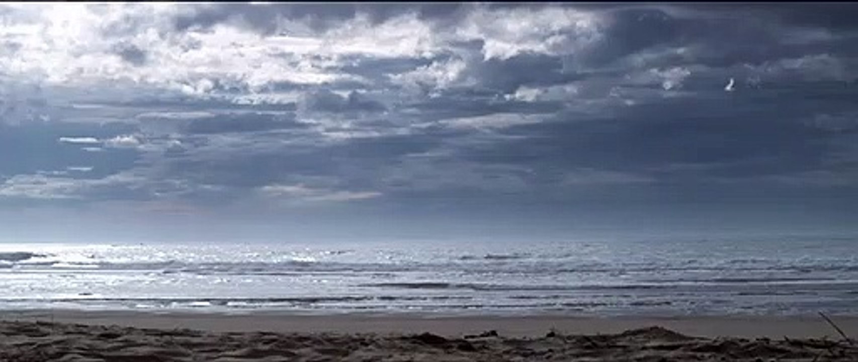 Surfeurs Bande-annonce VF