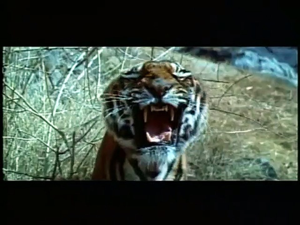 Les Evadés de la planète des singes Bande-annonce VO