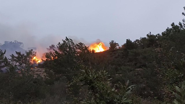 Bodrum’da yangın! Rüzgarın etkisiyle büyüdü