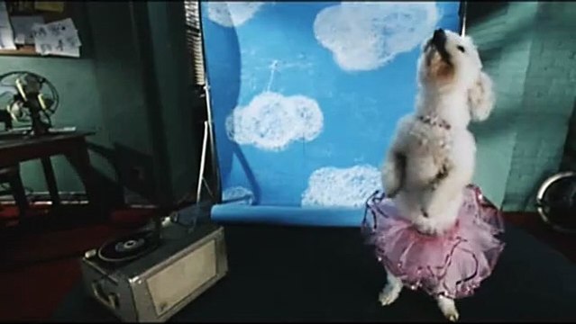 Les 101 Dalmatiens Bande-annonce VF