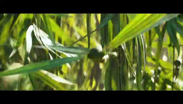 Maléfique : Le Pouvoir du Mal Bande-annonce (2) VF