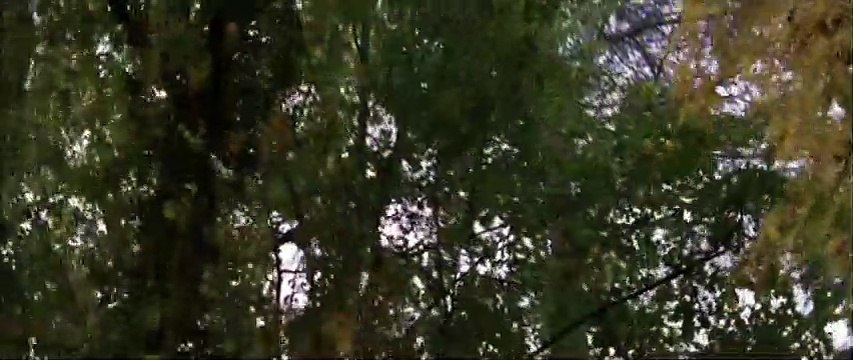 L'Heure du crime Bande-annonce VO