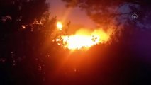 Bodrum'da ormanlık ve makilik alanda yangın çıktı! Rüzgar büyütüyor