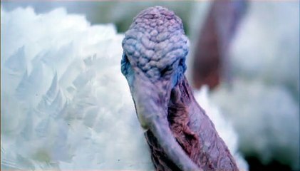 La Part animale Bande-annonce VF