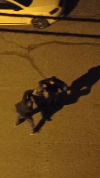 Hırsızlık şüphelisini sokak ortasında tekme tokat dövdüler