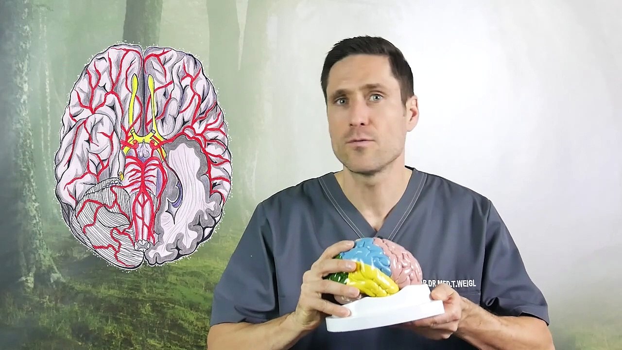 Keto als Geheimwaffe So Helfen Ketonkörper beim Abnehmen- Aber Achtung Gefahren bei Ketose lauern-