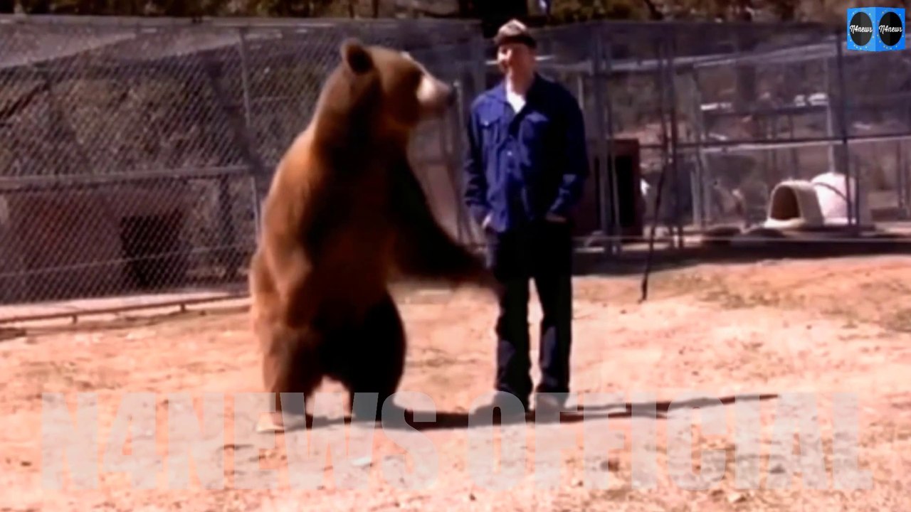 Horrifying Video Shows Hollywood Bear Rocky Mauling Trainer to Death by Ripping Out His Neck
