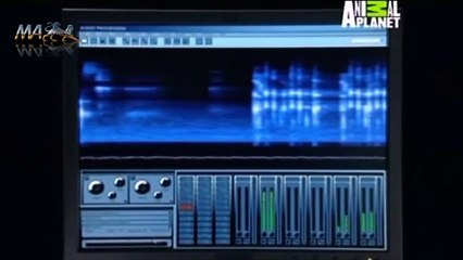 Sereias  O início da Série  - (Primeira Parte)