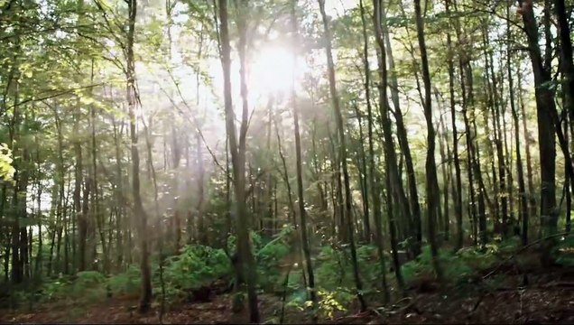 Blair Witch Bande-annonce (3) VO