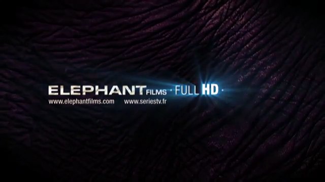 Le Baiser du vampire Bande-annonce VO