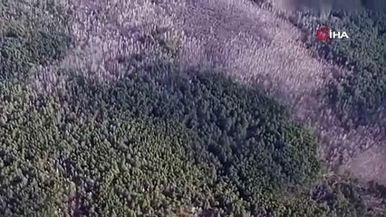 Ukrayna ordusu Rus hedeflerini havadan vurdu