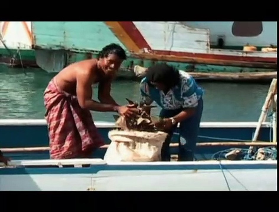 Les Seigneurs de la mer Bande-annonce VO