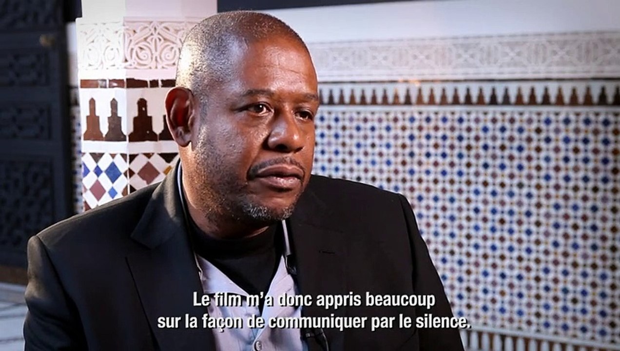 Festival International du Film de Marrakech 2011