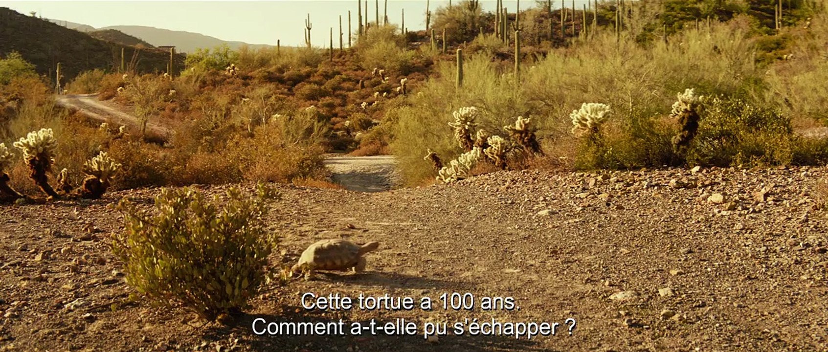 Lucky Bande-annonce VO