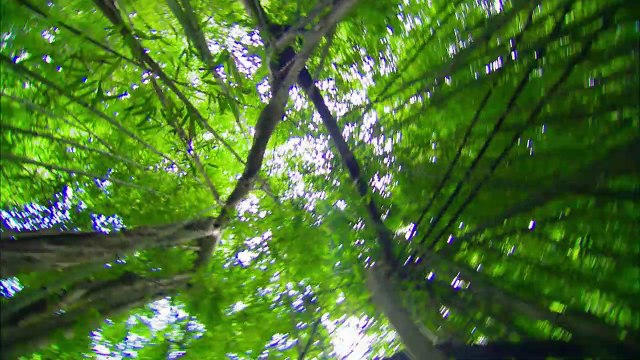 Alvin et les Chipmunks 3 Bande-annonce (3) VF