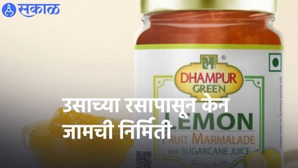 Cane Jam | उसाच्या रसापासून केन जामची निर्मिती   | Sakal |