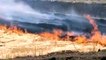 देखें वीडियो आदेश के बाद भी किसान लगातार जला रहे हैं