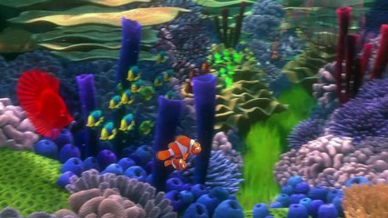 Le Monde de Nemo Reportage VF