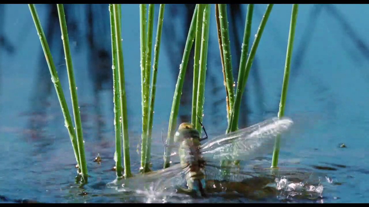 La Clé des champs Making Of VF