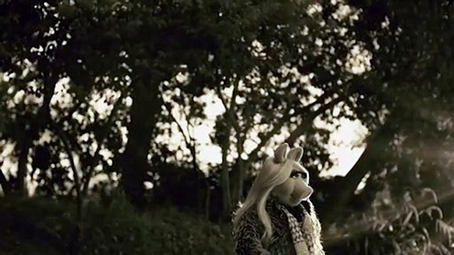 Quand les Muppets revisitent Hello d'Adele
