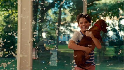 Le Teckel Bande-annonce VO