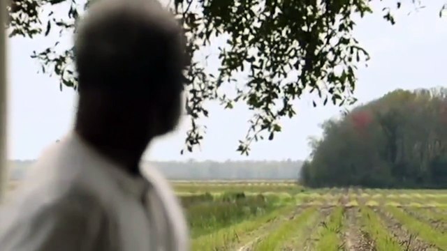 Queen Sugar - saison 1 Bande-annonce VO
