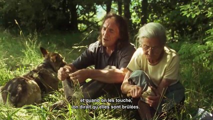 Viendra le feu - EXTRAIT VOSTFR "Les branches mortes"