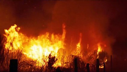 Viendra le feu Bande-annonce VO
