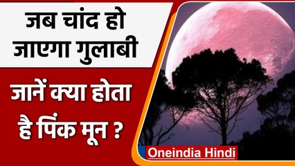 Pink Moon: आसमान में देख सकेंगे दुर्लभ नजारा, जानें सब कुछ | वनइंडिया हिंदी