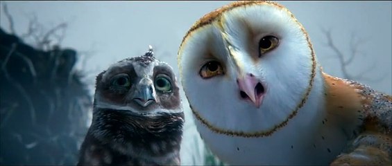 Le Royaume de Ga&#039;Hoole - la légende des gardiens Extrait vidéo (4) VF