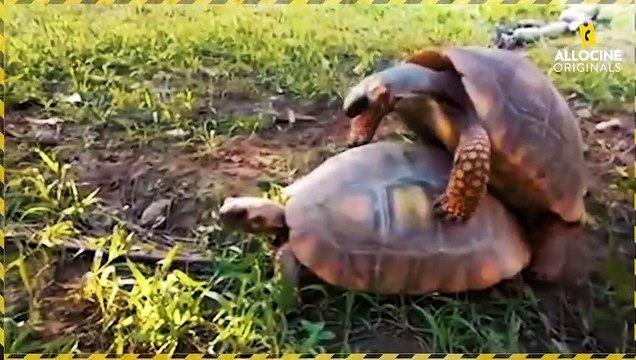 Et paf, il est mort - Zoe Barnes (House of Cards)