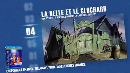 Les animaux qui veulent retrouver leur liberté