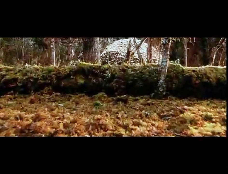 Le Soleil se lève aussi Bande-annonce VO