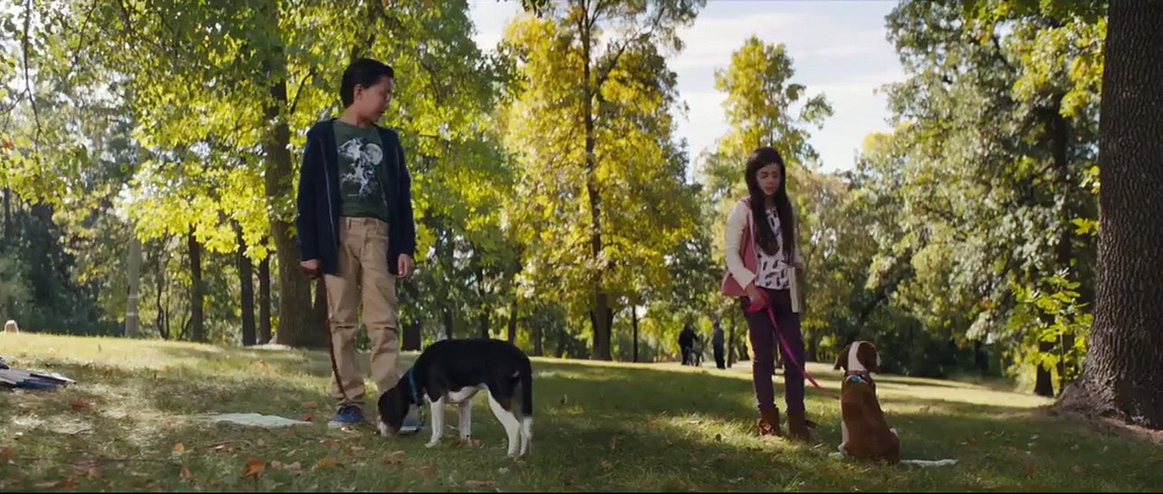 Mes autres vies de chien Bande-annonce VF