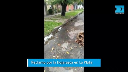 Reclamo por acumulación de hojas en Villa Elvira