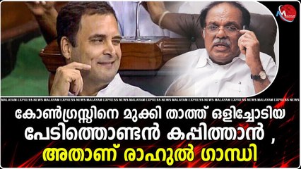 കോൺഗ്രസ്സിനെ മുക്കി താത്ത് ഒളിച്ചോടിയ പേടിത്തൊണ്ടൻ കപ്പിത്താൻ , അതാണ് രാഹുൽ ഗാന്ധി