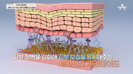 피부 장벽 절대★지키는 '세라마이드' 바를까? VS 먹을까?