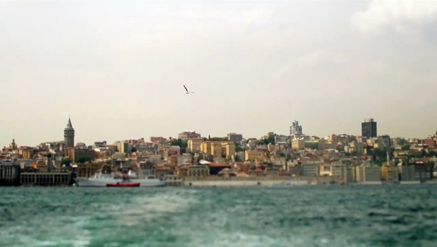 Kedi - Des chats et des hommes Teaser VF