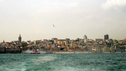 Kedi - Des chats et des hommes Teaser VF