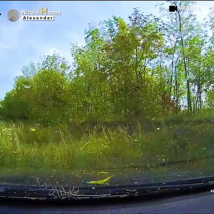 Close Enough To Give You Chills!