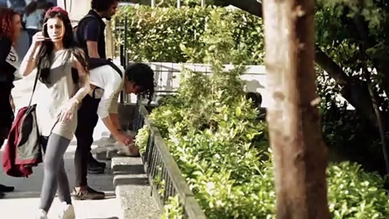 Kedi - Des chats et des hommes EXTRAIT VO "Caresses"