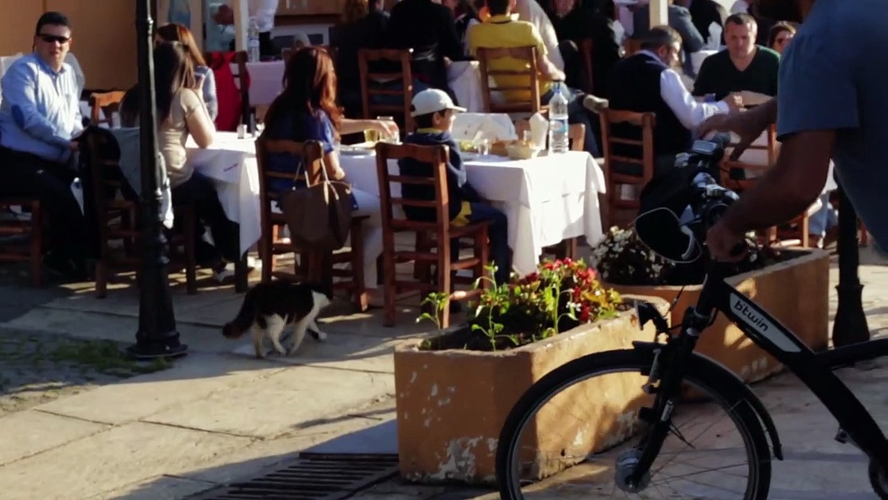 Kedi - Des chats et des hommes EXTRAIT VO "Chasser les rats"