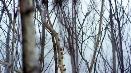 Bitten - saison 2 Teaser VO